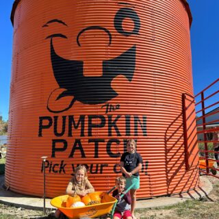 It’s almost pumpkin time! After visiting the same farms year after year, it was really nice to try something new. Our afternoon at @thenixpumpkinpatch was a delight and definitely worth checking out for a variety of pumpkins and festive fall goodies.